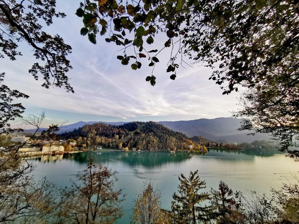 Violeta * Bled